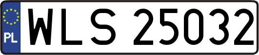 WLS25032