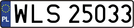 WLS25033