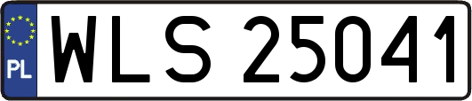 WLS25041