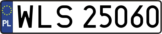 WLS25060