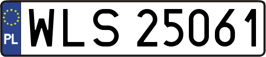 WLS25061