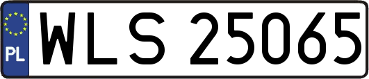WLS25065