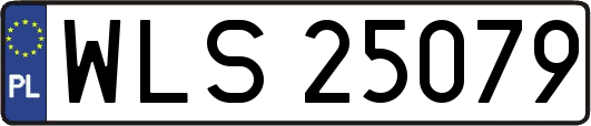 WLS25079