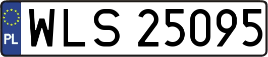 WLS25095