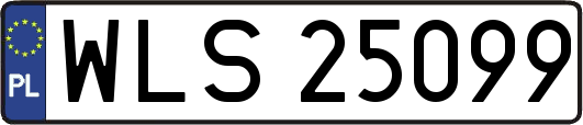 WLS25099
