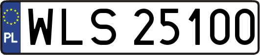WLS25100