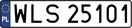 WLS25101