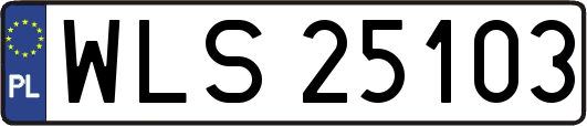 WLS25103