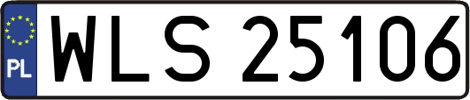 WLS25106
