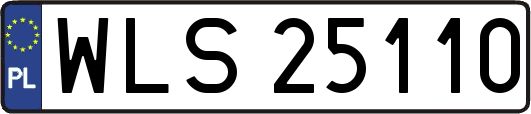 WLS25110