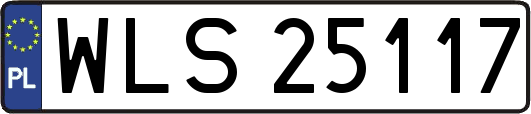 WLS25117