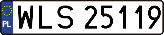 WLS25119