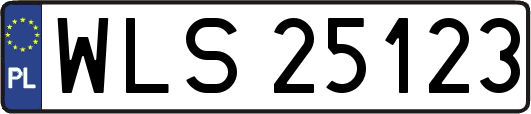 WLS25123