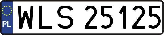 WLS25125