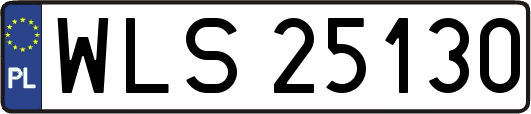 WLS25130