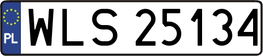 WLS25134