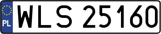 WLS25160