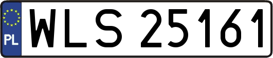 WLS25161