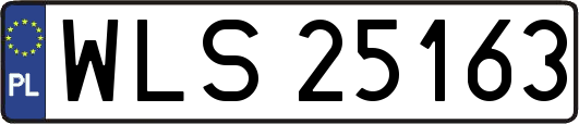 WLS25163