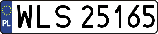 WLS25165