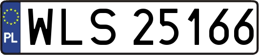 WLS25166