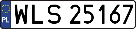 WLS25167