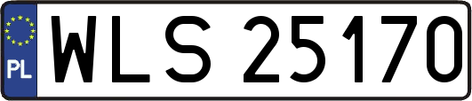 WLS25170