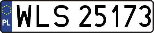WLS25173