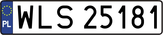 WLS25181