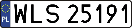 WLS25191