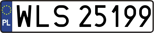 WLS25199