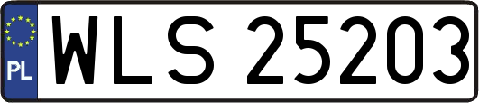 WLS25203