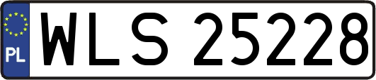 WLS25228