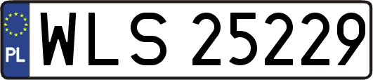 WLS25229
