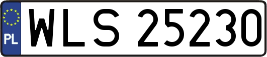 WLS25230