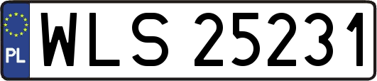WLS25231