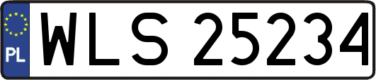 WLS25234