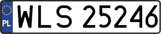 WLS25246