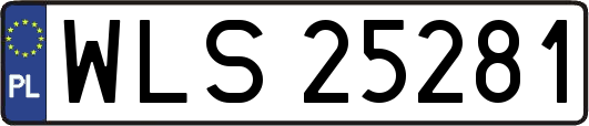 WLS25281
