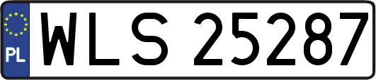 WLS25287