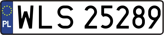 WLS25289