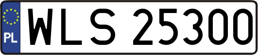 WLS25300
