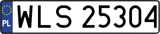 WLS25304