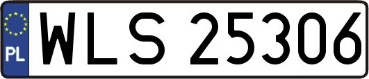 WLS25306