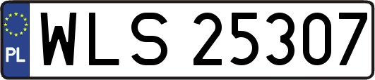 WLS25307