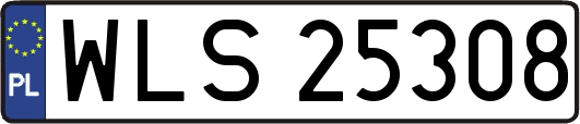 WLS25308