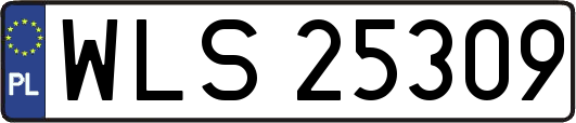 WLS25309