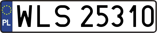 WLS25310