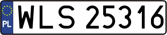 WLS25316