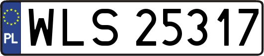 WLS25317